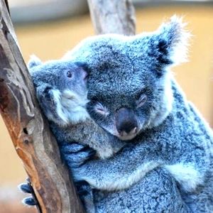 How I feel after a sale! Posher, Jasmine